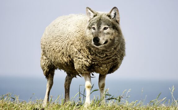 Wolf in schaapskleding/insider threat