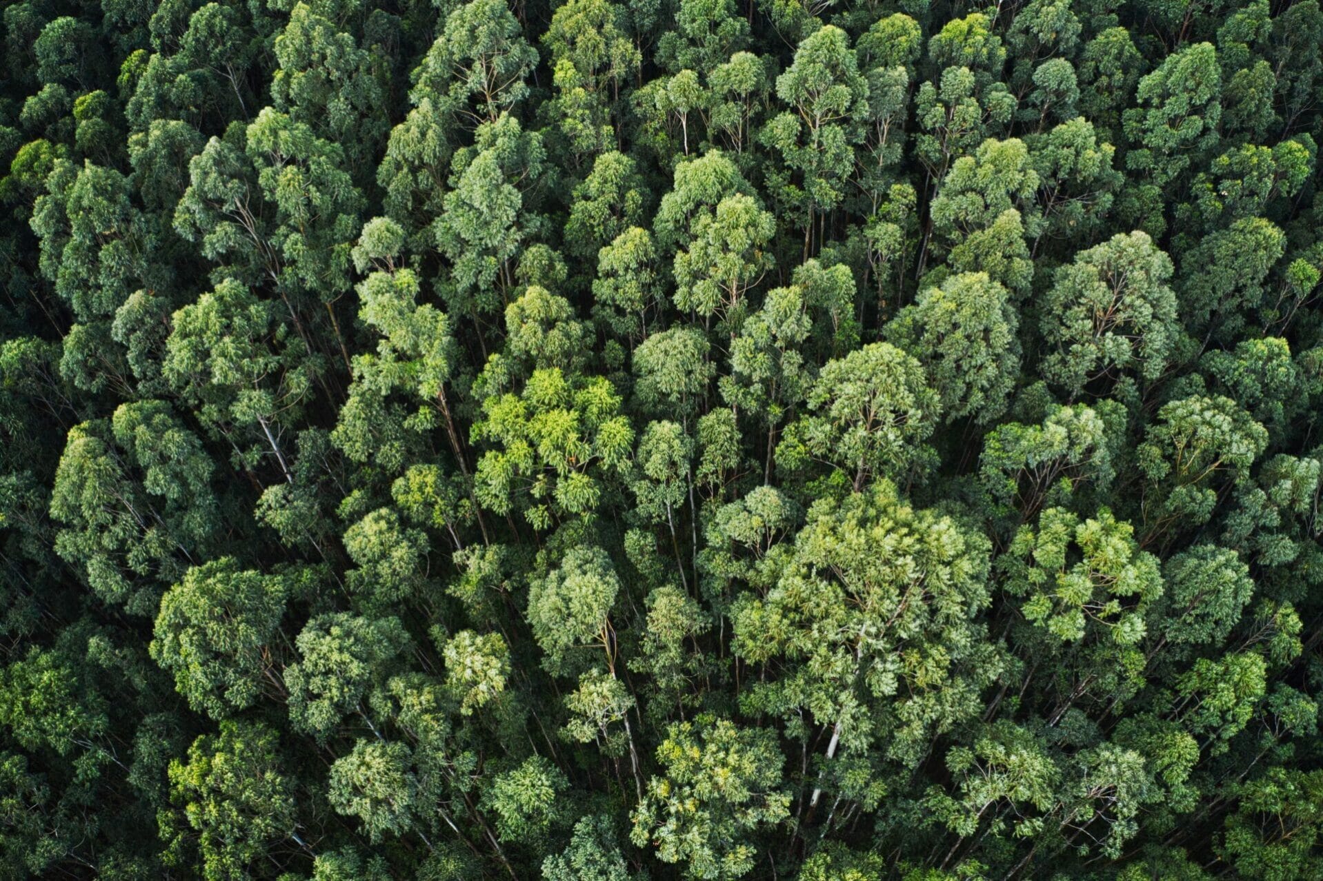 ISO 14001:2026 op komst
