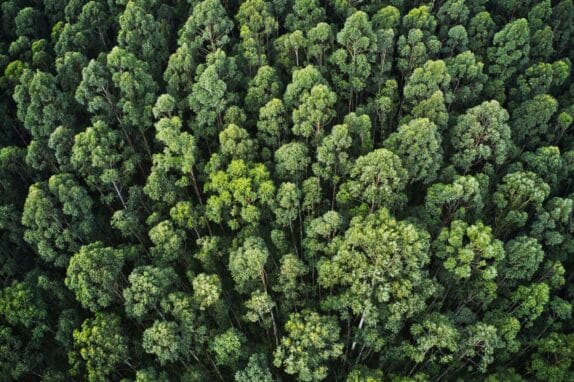 ISO 14001:2026 op komst